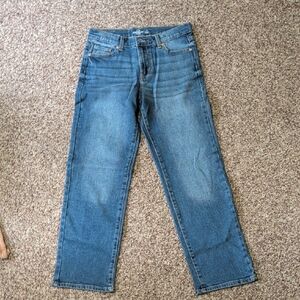 Jordache Girls Blue Straight-Leg Jeans